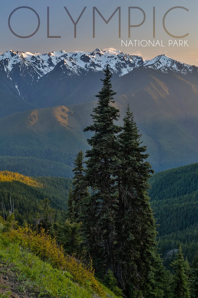 12x18 Olympic National Park Hurricane Ridge Wall Art Poster - Stunning Washington Landscape Decor for Living Room, Bedroom & Office