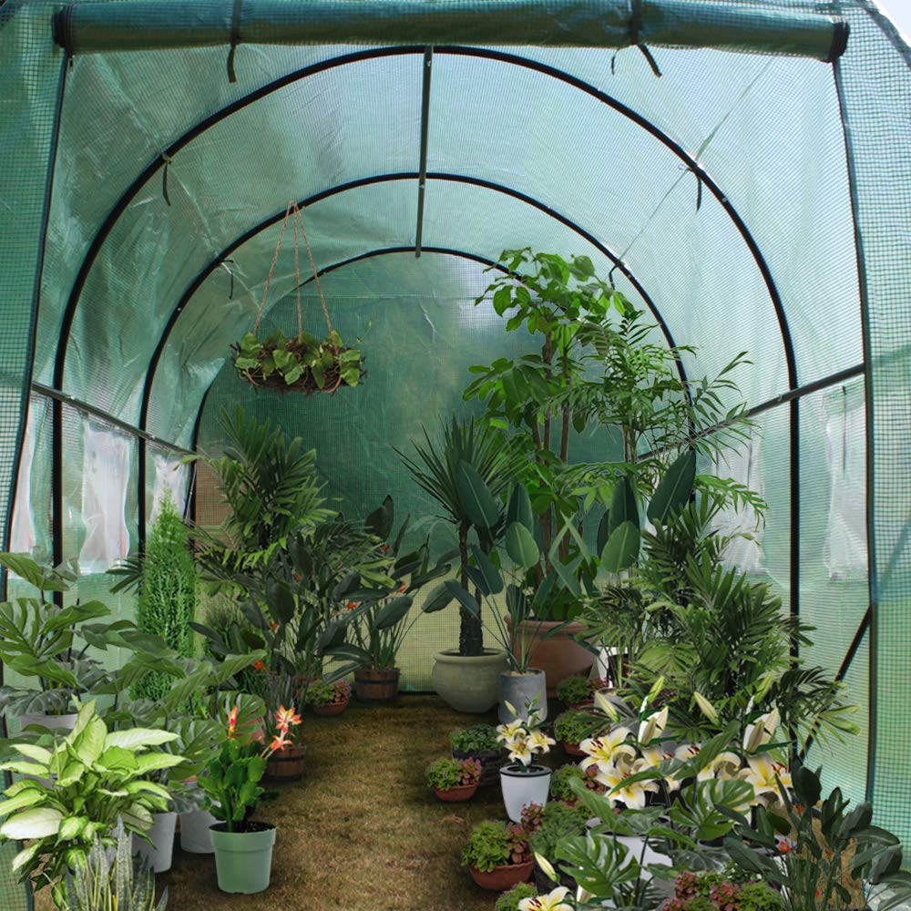 Large 12'x7'x7' Portable Greenhouse Tent for Gardening - Heavy Duty Walking Tunnel Plant Hot House Dome | Perfect for Outdoor Planting, Seed Starting & Year-Round Gardening
