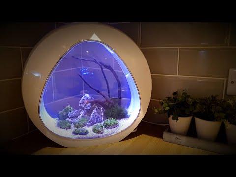 Nano Curve Acrylic Fish Tank 13.5L (3.5 Gallon) - 2 Colors - Perfect for Home, Office & Small Space Aquarium Setup