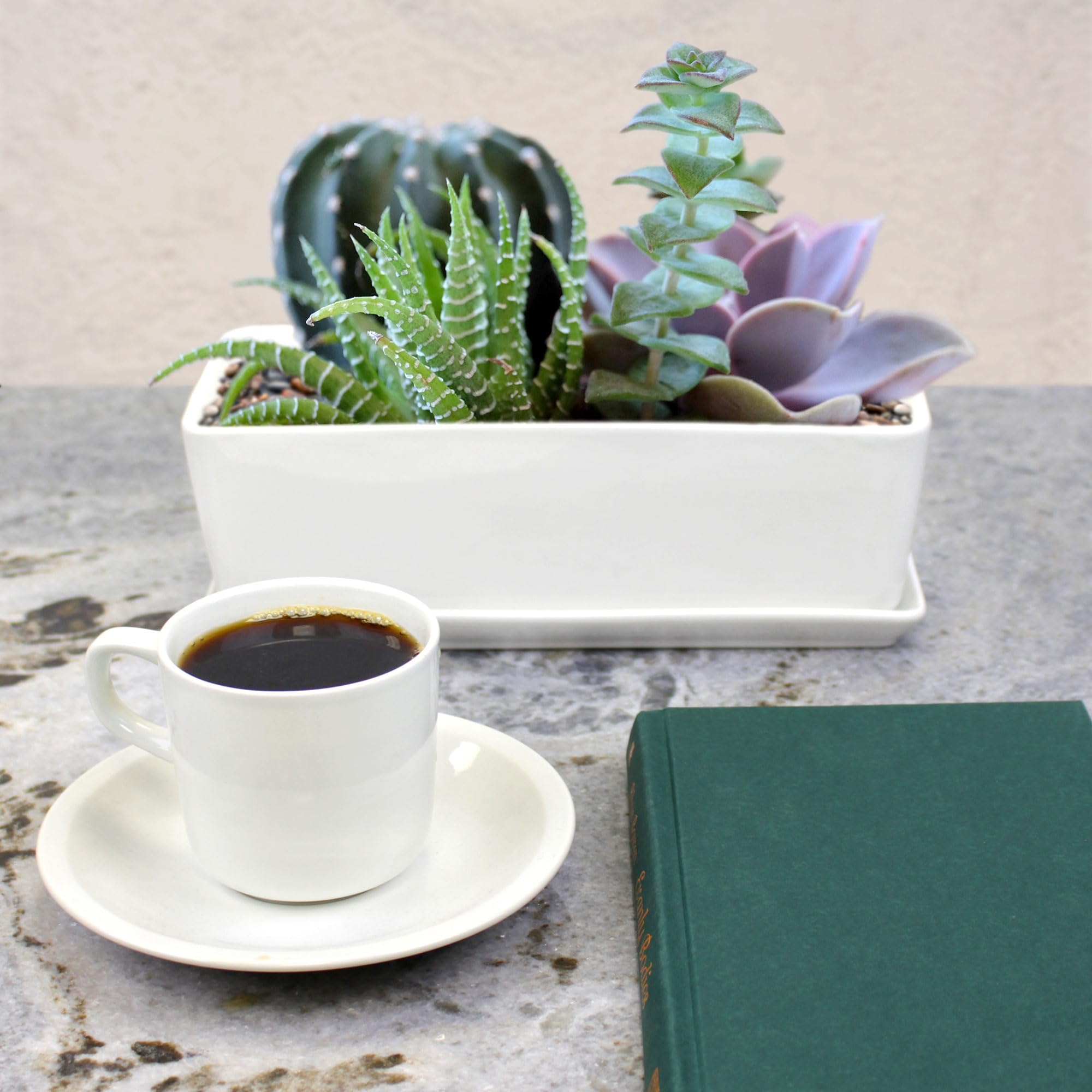 BambooMN White Ceramic Succulent Planter Pot with Drainage Tray - 10.1 Inch Short Rectangle Flower Pot for Indoor Plants, Home Decor, Office Desk, and Garden Succulents