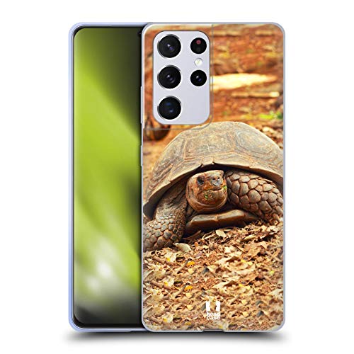 Crawling Tortoise