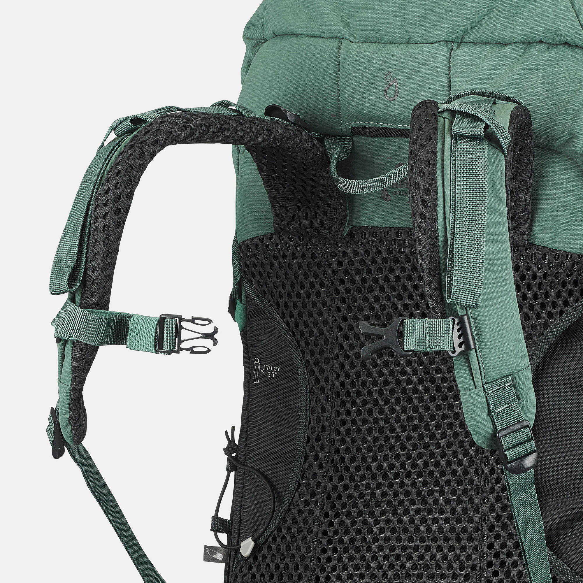Quechua MH500 30L Lightweight Hiking Backpack - Waterproof & Durable for Outdoor Adventures, Camping & Travel
