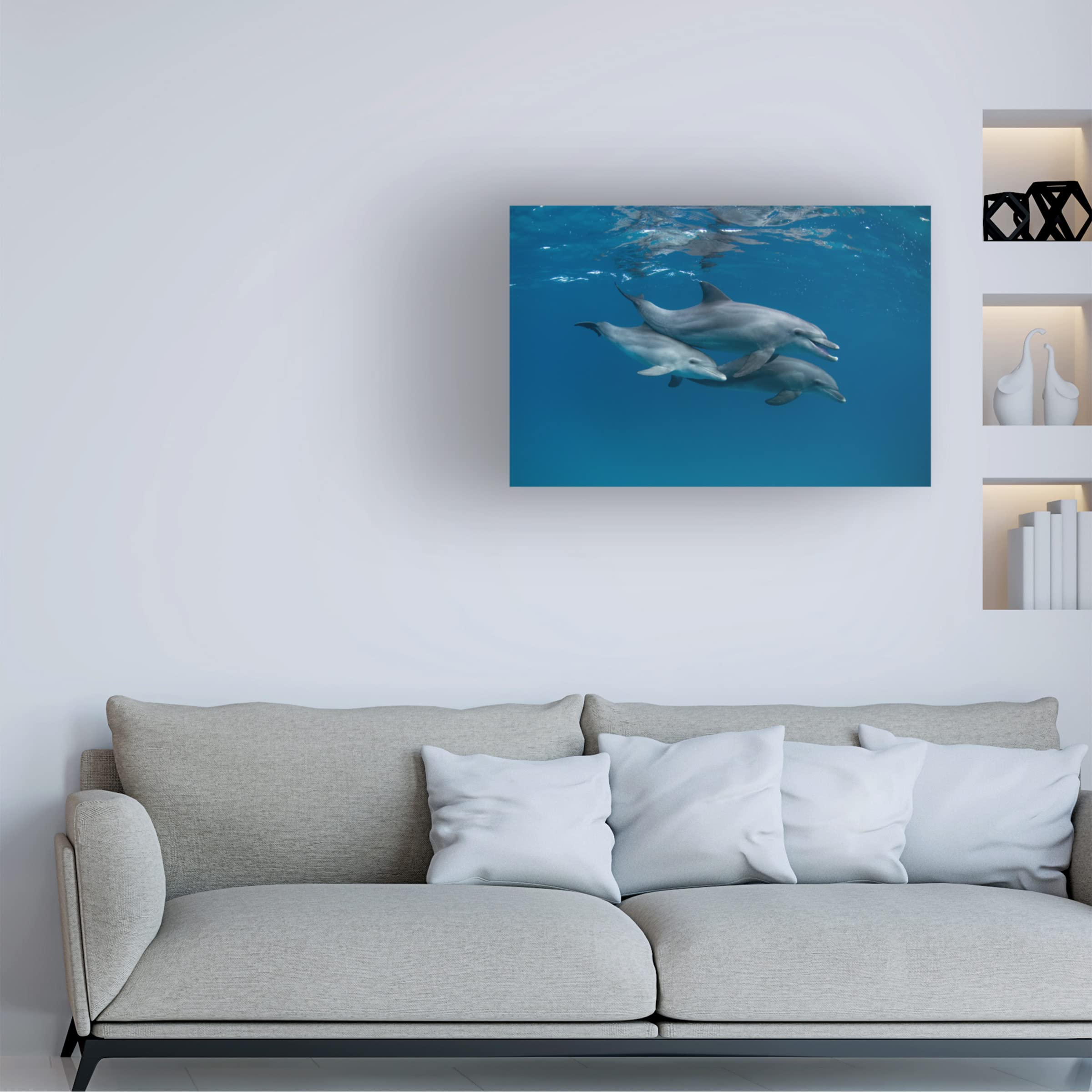 Trademark Fine Art 'Dolphins' Canvas Wall Art by Romano Molinari - Ocean Themed Home Decor for Living Room, Bedroom & Office