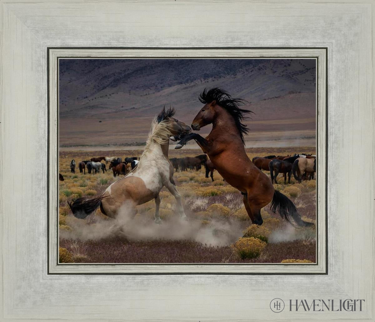 Desert Duel 5 by Greg Sargent - Western Action Novel - Perfect for Book Clubs & Cowboy Adventure Fans