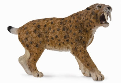 CollectA Smilodon Dinosaur Figurine - Realistic Prehistoric Saber-Toothed Cat Toy for Kids, Dinosaur Lovers & Collectors - Perfect for Playtime, Education & Display