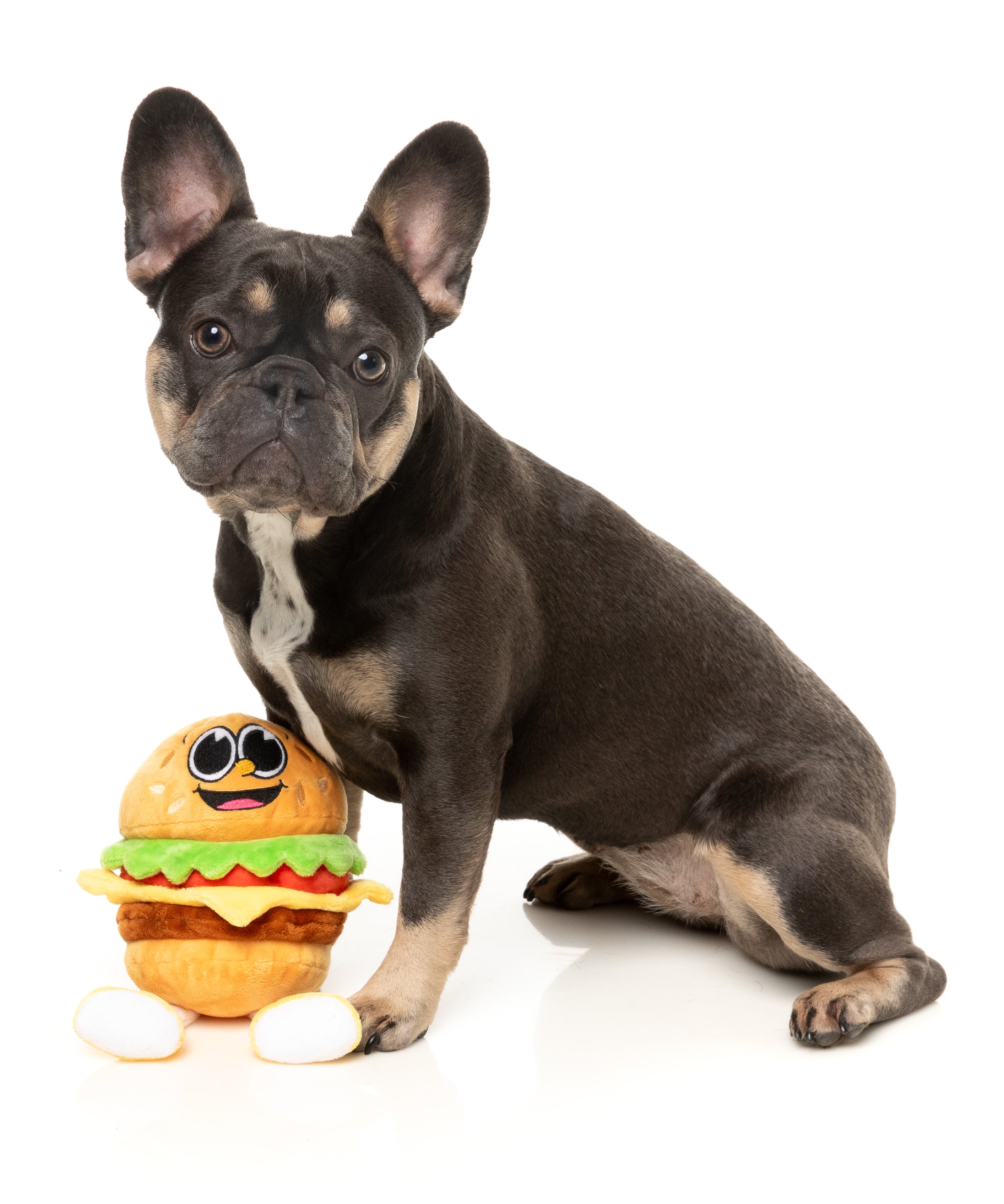 FuzzYard The Homies Patty Squeaky Plush Dog Toy - Soft & Durable Chew Toy for Small & Medium Dogs - Perfect for Playtime, Training & Cuddling