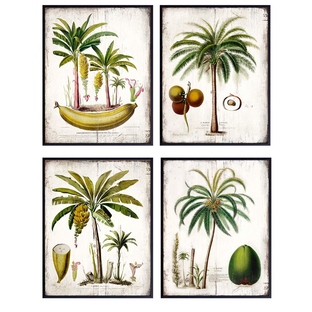Tropical Palm Tree Wall Art Decor - Vintage Rustic Boho Style 8x10 Picture Print Set for Kitchen, Dining & Living Room - Perfect Beach House Decor or Unique Gift for Women & Men - Ideal for Coastal, Boho & Farmhouse Interior Design