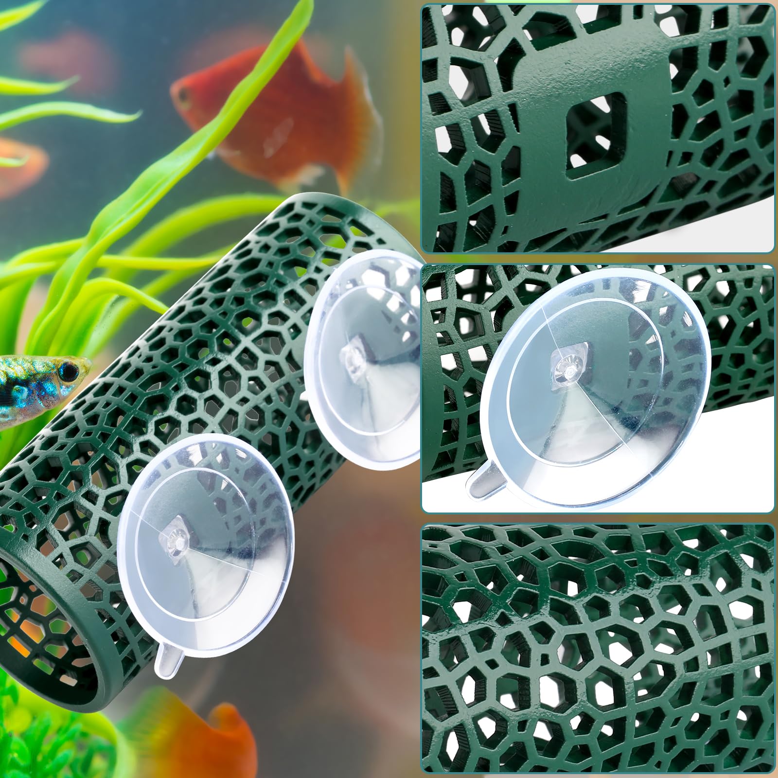 Abizoo Dark Green Hollow Betta Fish Tunnel & Reptile Hide - Safe Aquarium Decor for Fish Tanks, Terrariums - Perfect for Betta Fish Enrichment and Reptile Hiding