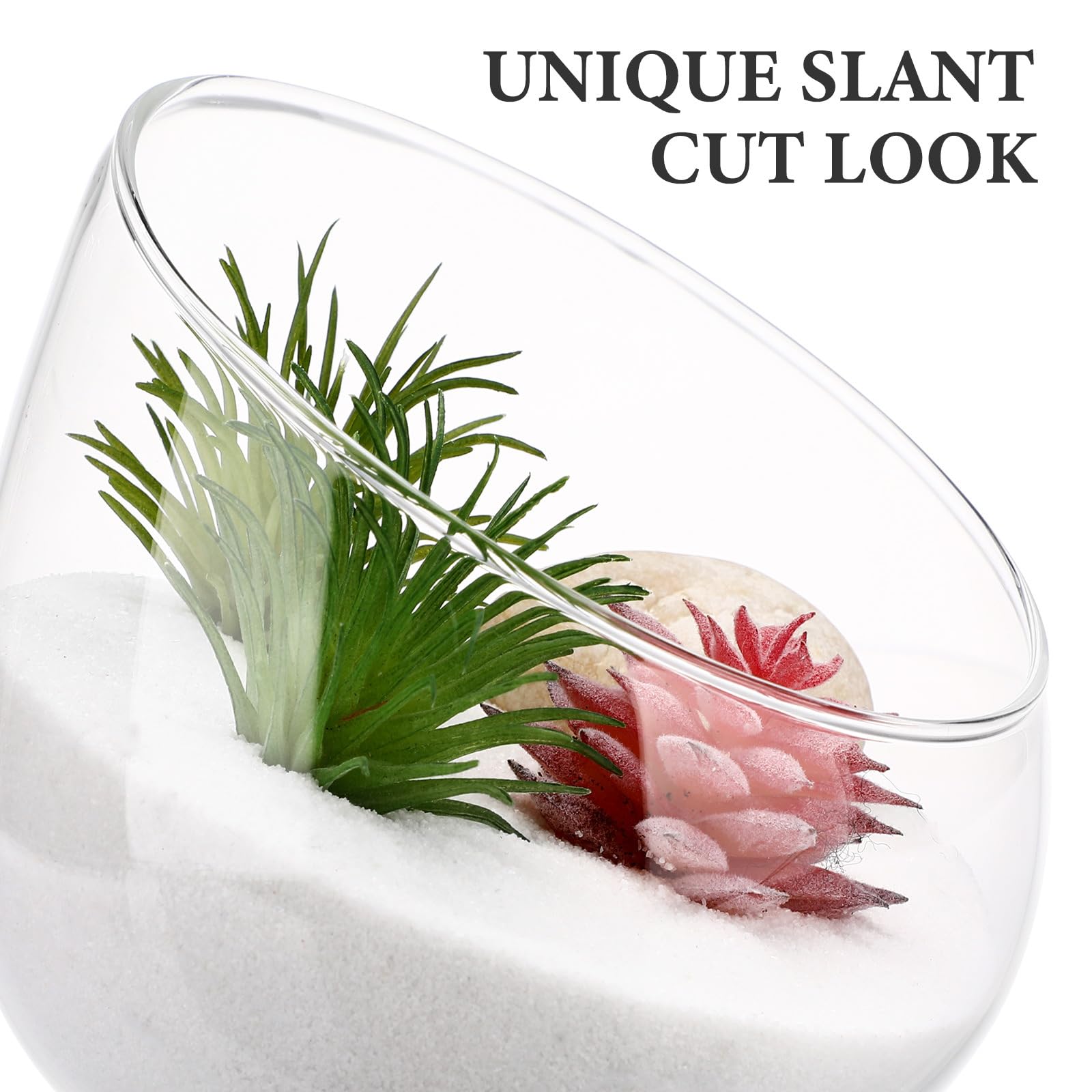 Yardwe 1PC Glass Terrarium Bowl - Slant Cut Bubble Vase for Succulent Plants, Air Plants & Micro Landscapes | Perfect for Home Decor, Office Desk, Wedding Centerpieces & DIY Terrarium Projects