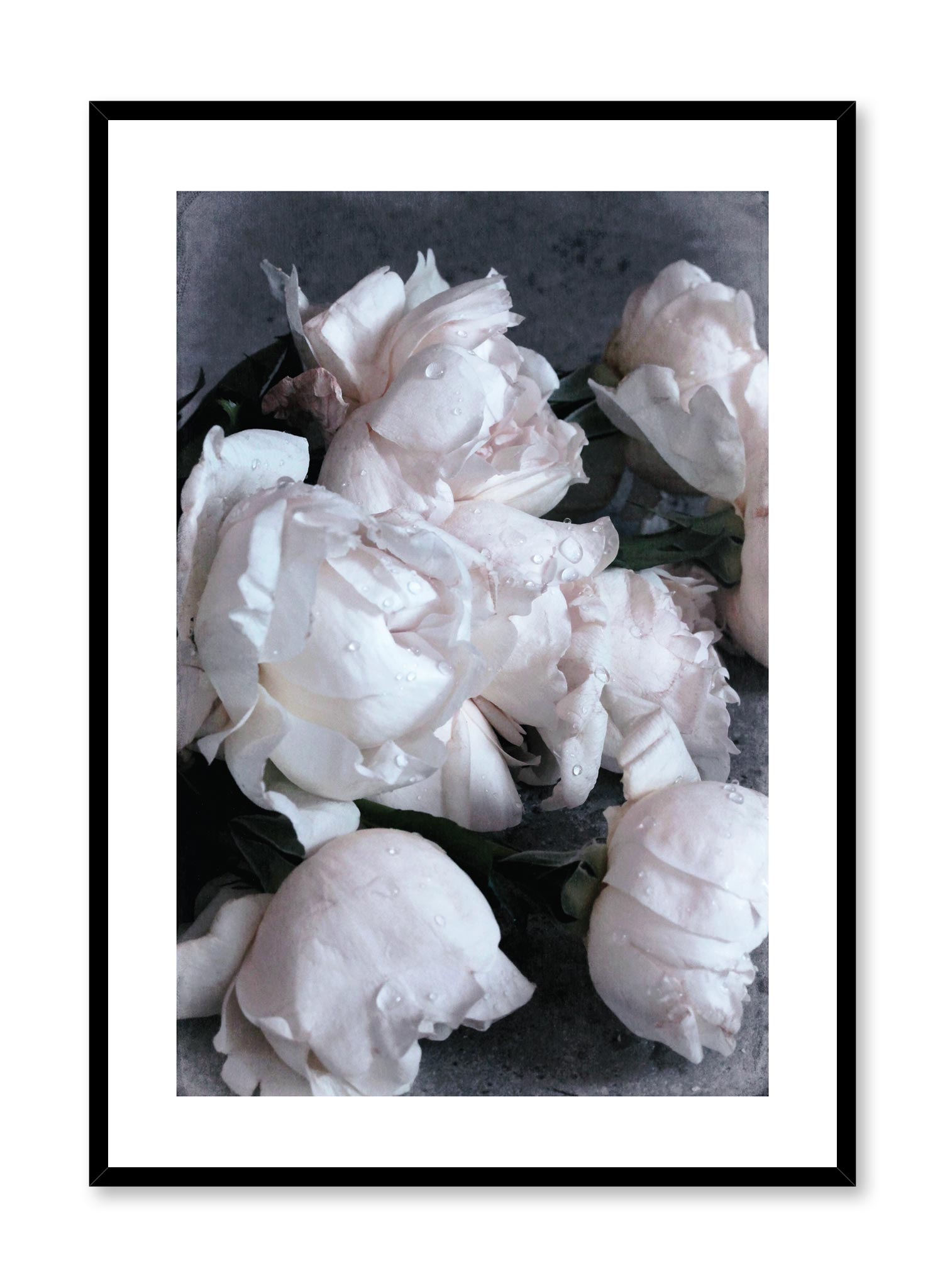 Roses on Sand Wall Art Poster - Vintage Floral Decor for Living Room, Bedroom & Office - Perfect for Home Decor & Gifts