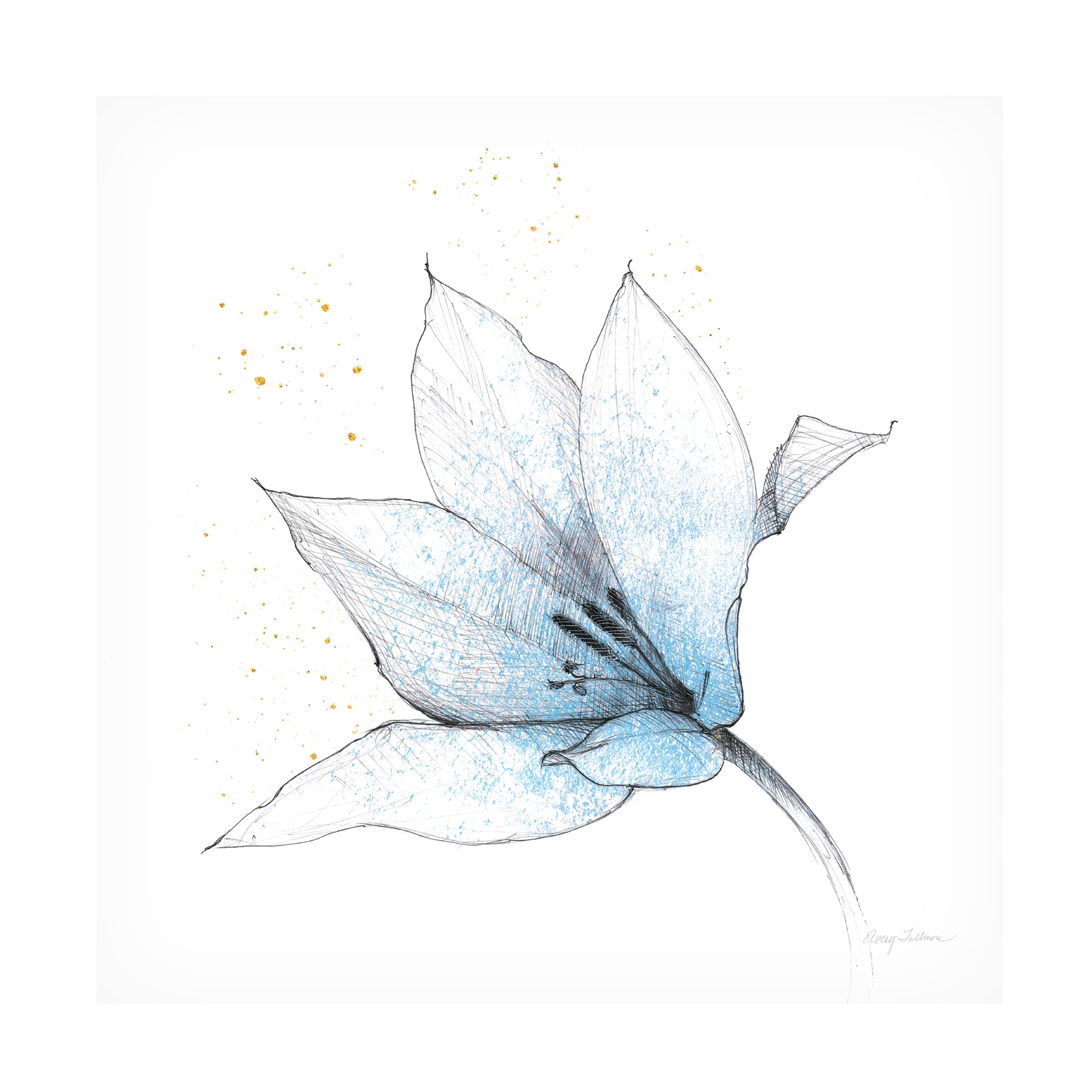 Avery Tillmon 'Blue Graphite Flower IX' Canvas Wall Art Print - Modern Botanical Home Decor for Living Room, Bedroom & Office