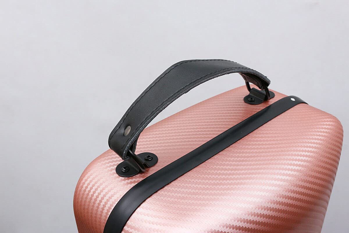 Premium 4/4 Carbon Fiber Violin Case - Lightweight Oblong Design with Golden Accents & Durable Pink Exterior | Perfect for Professional Musicians, Travel & School Performances