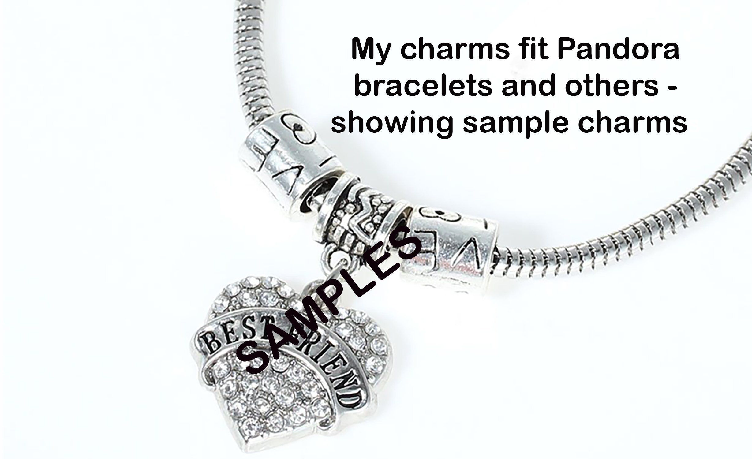 2018 Silver Charm with Free Surprise Charm by Mossy Cabin - Compatible with Large Hole Snake Chain Bracelets, Necklaces, Pendants & Keychains | Perfect for Jewelry Making, Gifts & Everyday Wear