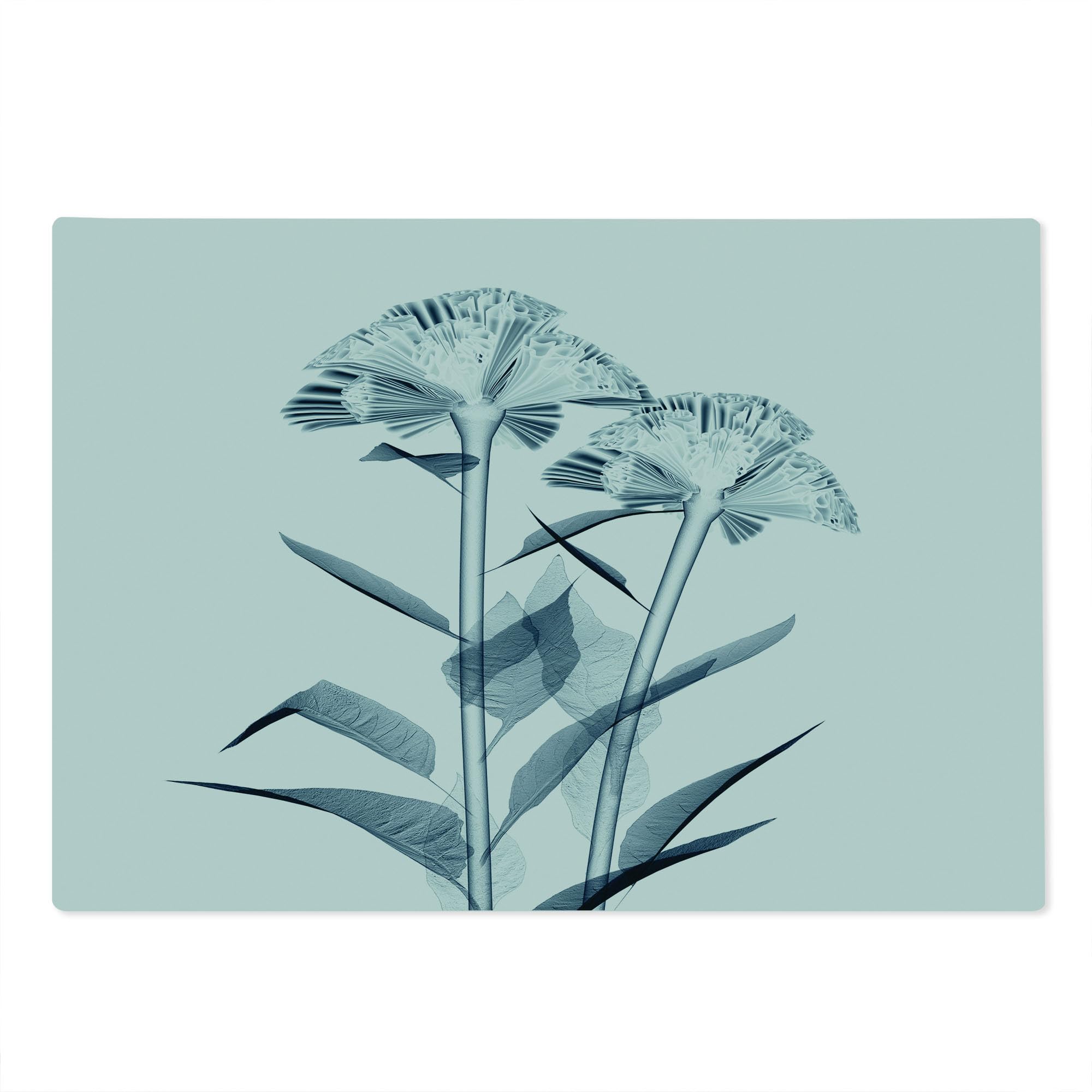 Ambesonne Floral X-Ray Cutting Board - Tempered Glass Serving Tray with Unique Flower Radiography Design, Large Teal & White Decorative Board for Kitchen, Dining & Gift Giving