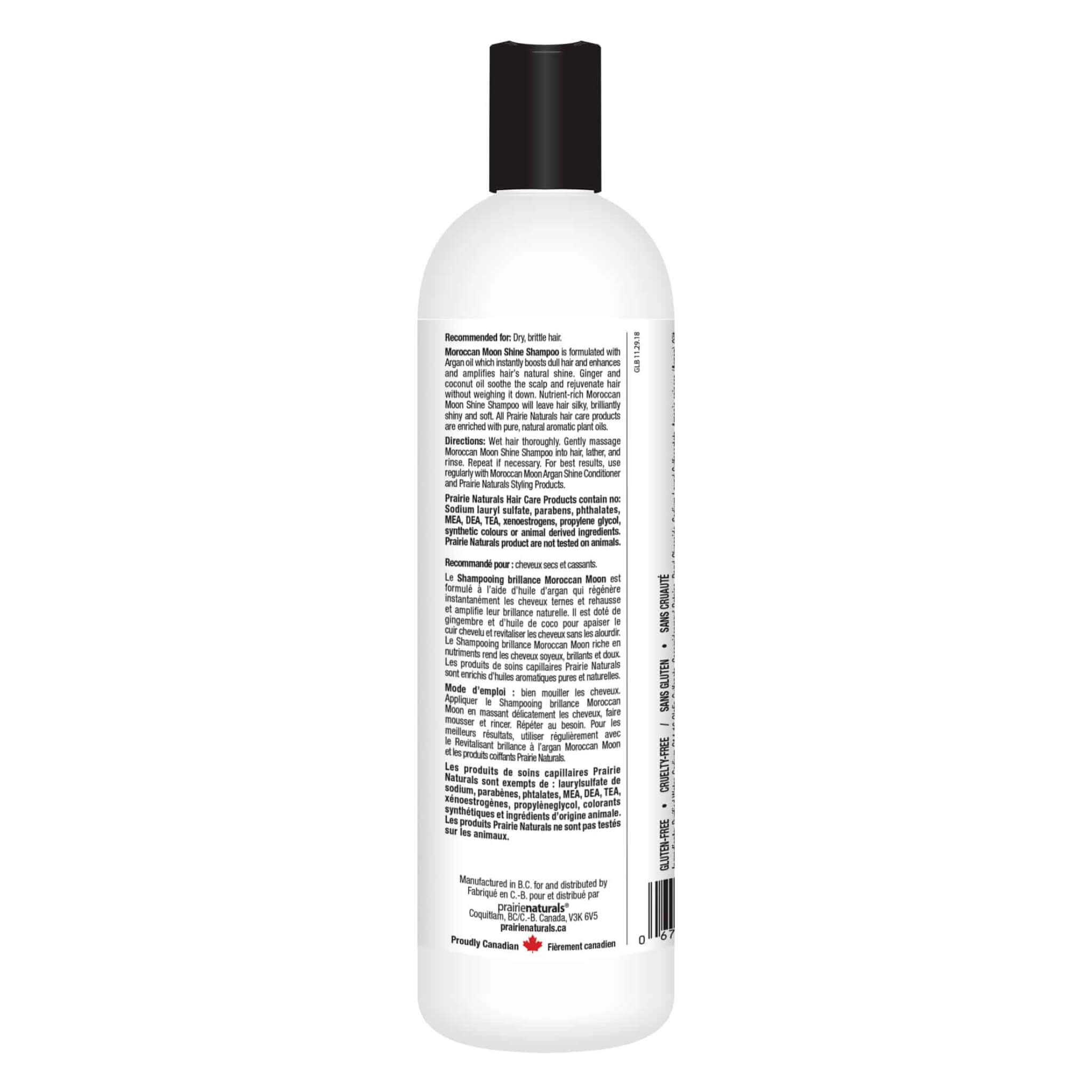 Moroccan Moon Argan Oil Smoothing Shampoo for Dry, Damaged Hair - Hydrating & Nourishing Formula with Vitamin E - Perfect for Daily Hair Care & Salon-Quality Results at Home