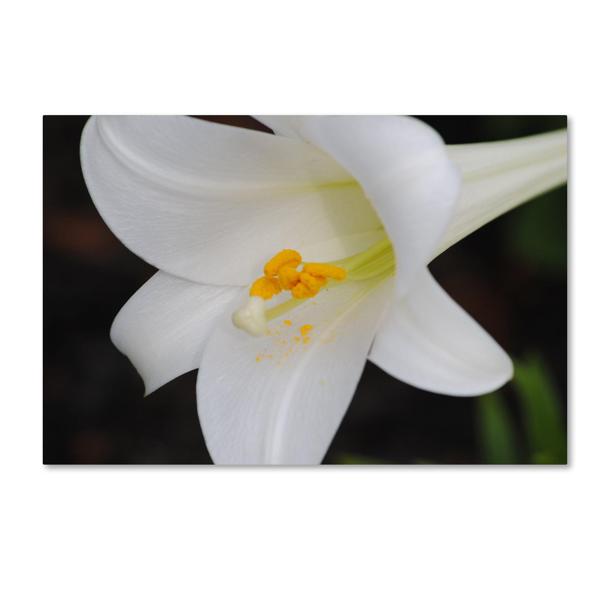 Monica Mize Easter Wall Art - 30