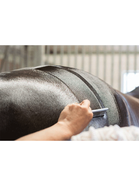 Smart Grooming Quarter Marking Spray for Horses - Quick & Easy Show Prep - Perfect for Competitions & Training