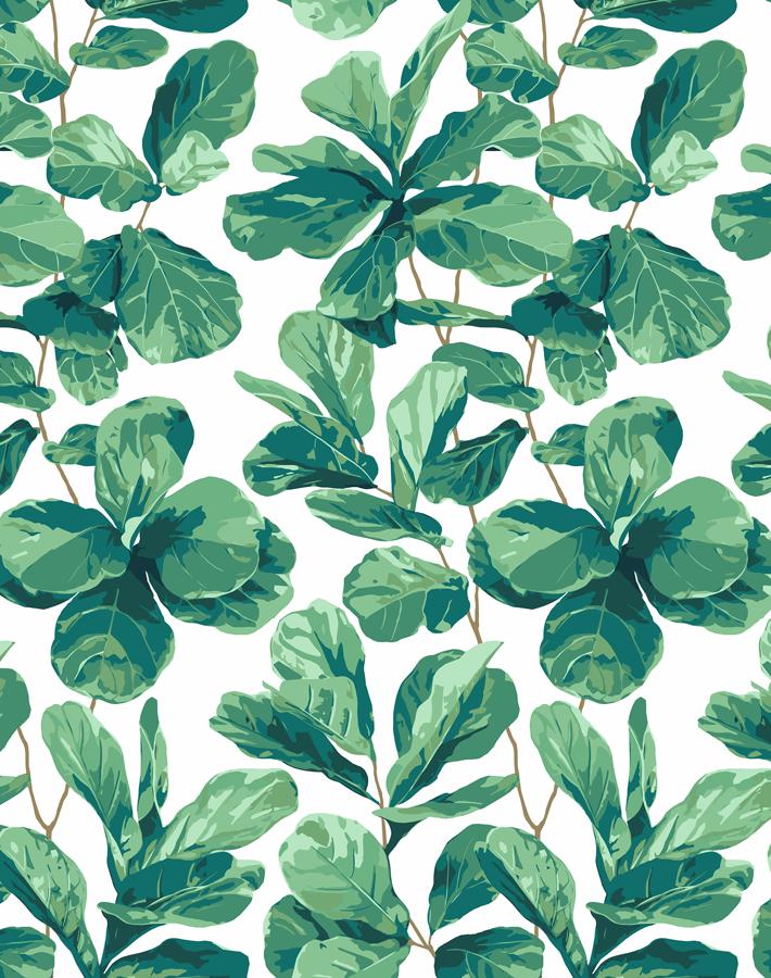Nathan Turner Fiddle Leaf Fig Wallpaper - White - Perfect for Living Room, Bedroom & Nursery Decor