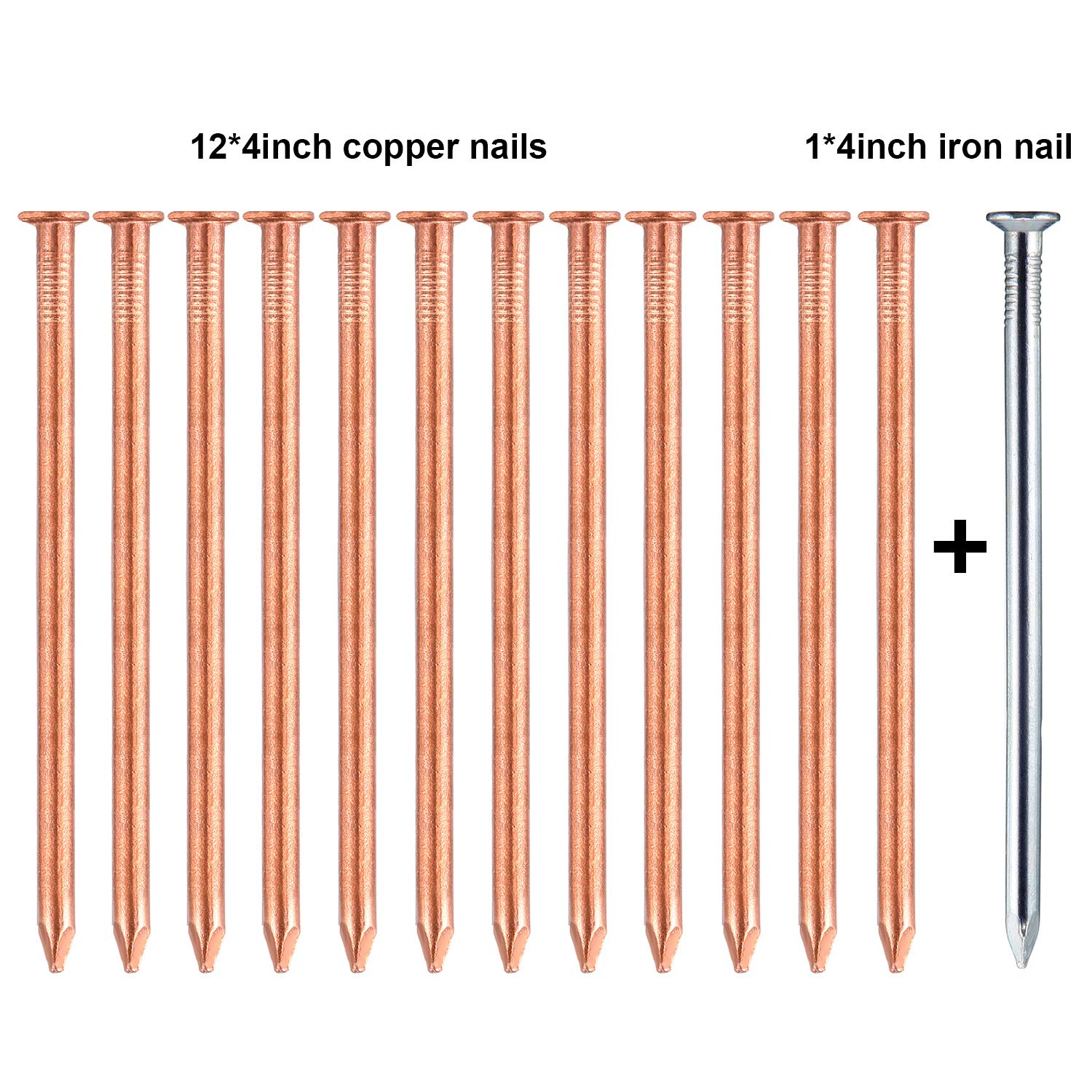 12 Pack 4 Inch (100mm) Long Copper Nails for Tree Killing & Stump Removal - Includes 1 Steel Nail & Storage Box - Ideal for Arborists, Gardeners, and DIY Tree Removal Projects