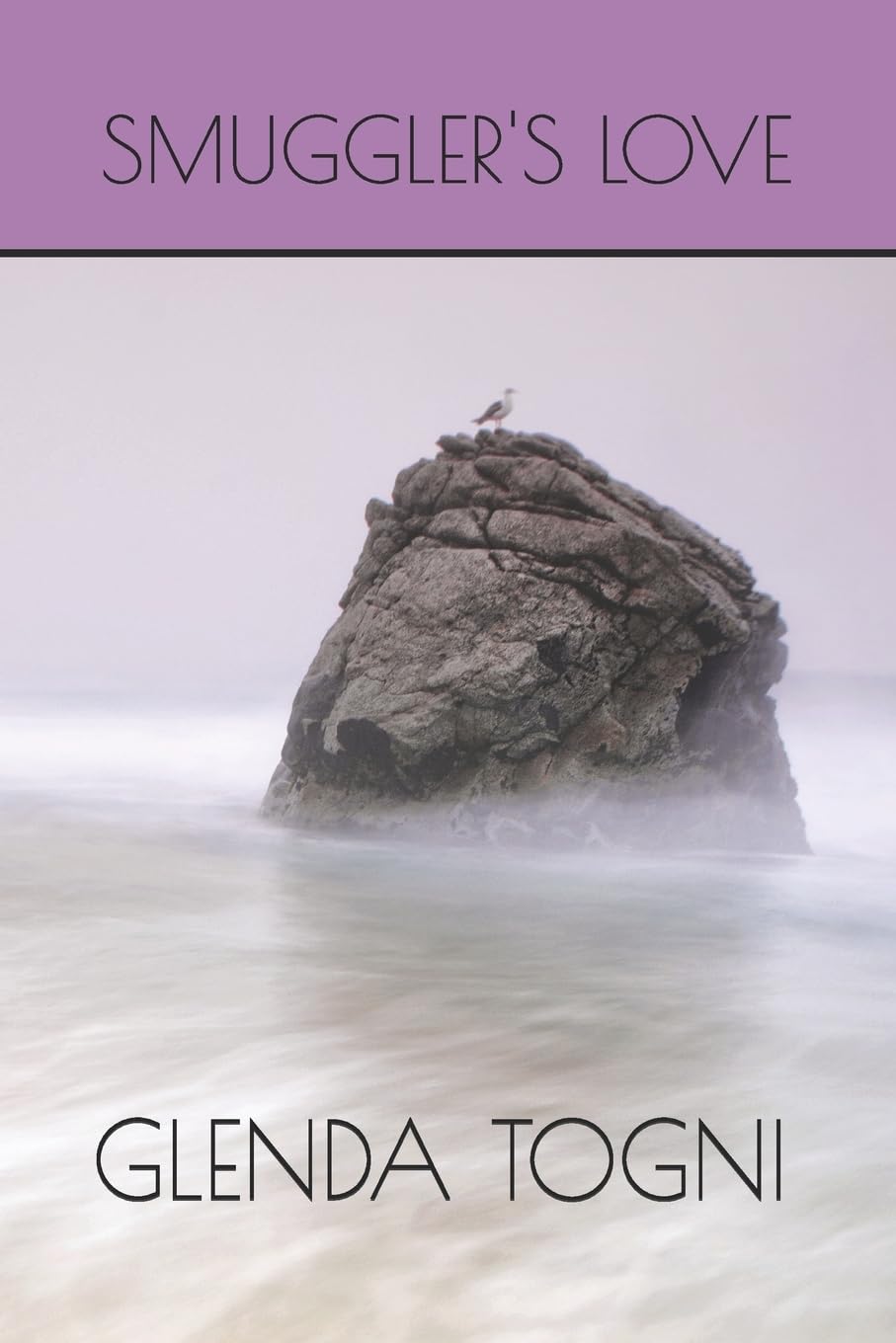 Smuggler's Love - A California Stories Novel | Historical Fiction, Adventure & Romance | Perfect for Book Clubs & Beach Reading