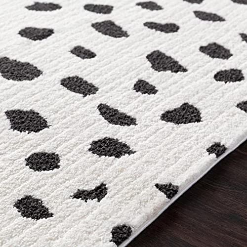 Mark&Day 5x7 Aadhya Global Black & White Area Rug - Soft Modern Carpet for Living Room, Bedroom, Kitchen - Perfect for Home Decor & High Traffic Areas (5'3