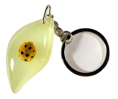 Tasmania Ladybird Bug (Freeform)