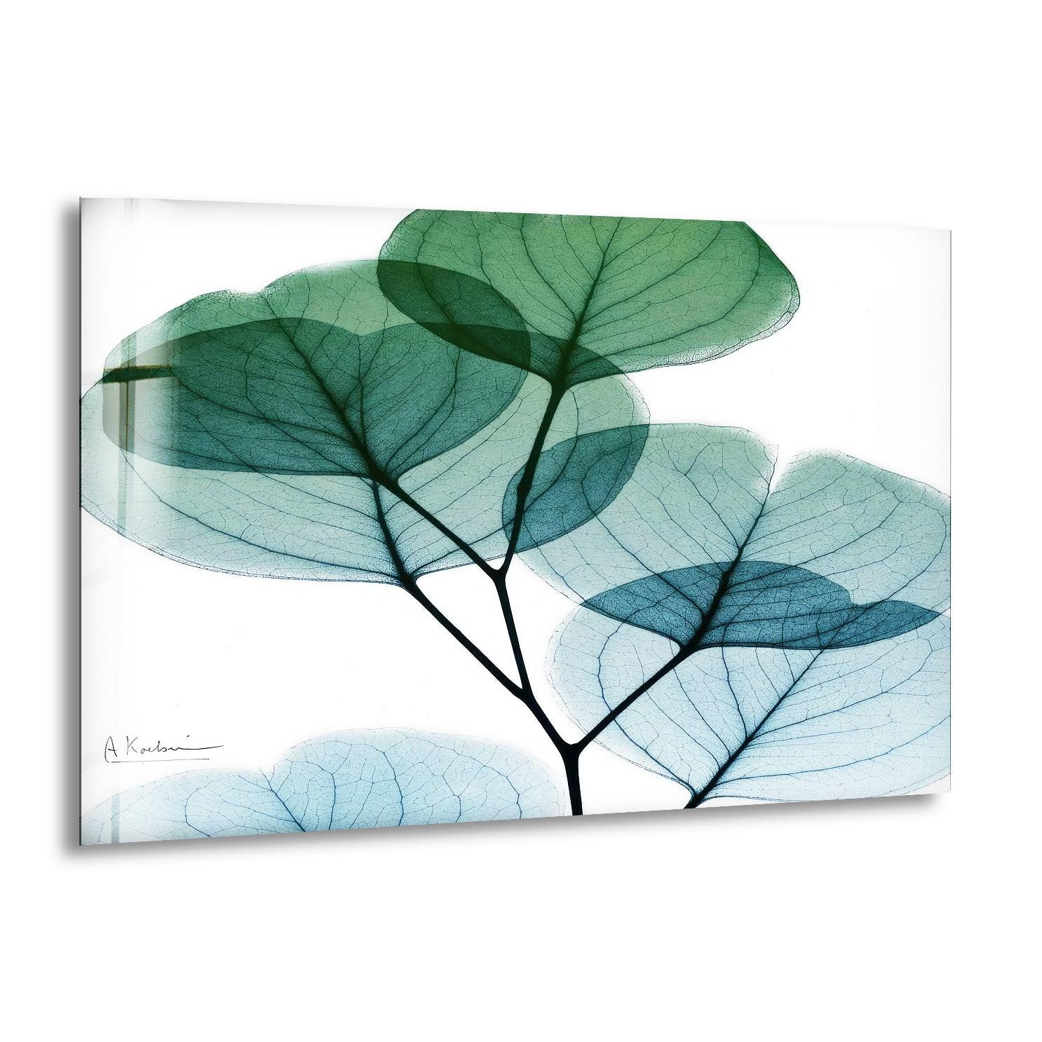 Albert Koetsier Dull Eucalyptus Mate Glass Wall Art - Modern Nature-Inspired Home Decor for Living Room, Bedroom & Office