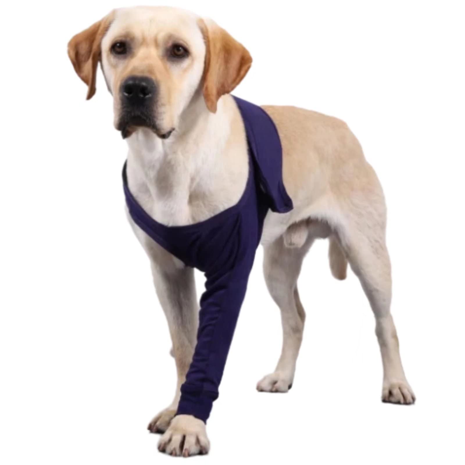 Xqpetlihai Dog Recovery Sleeve - Post-Surgery Knee Brace for Dogs, Abrasion Resistant & Licking Protection, Cone Collar Alternative (XS) - Ideal for Post-Op Care, Wound Healing & Daily Protection