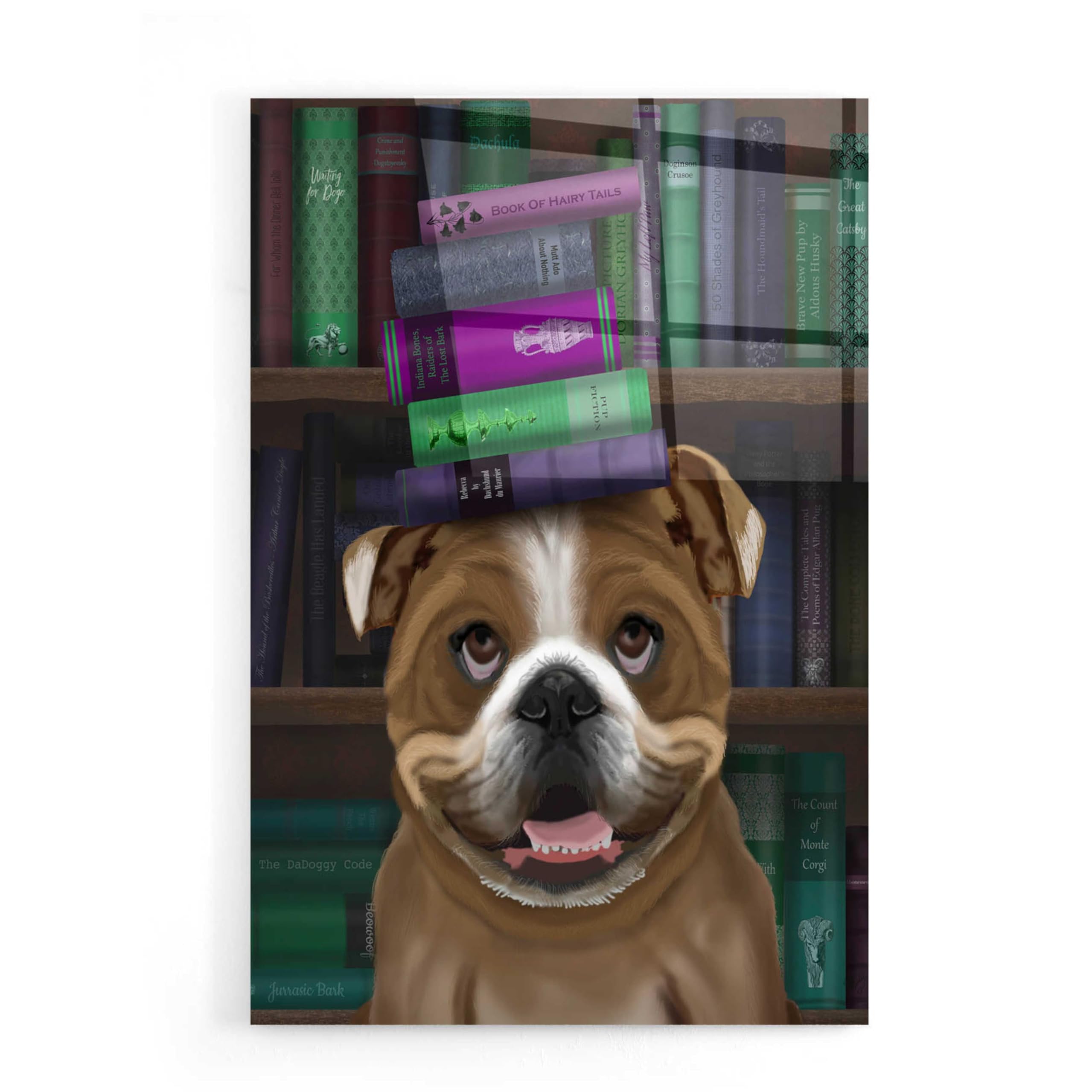 Fab Funky English Bulldog and Books Acrylic Glass Wall Art - 16x24 Inches, Modern Home Decor for Living Room, Office & Library - Vibrant Canvas Print for Dog Lovers & Book Enthusiasts