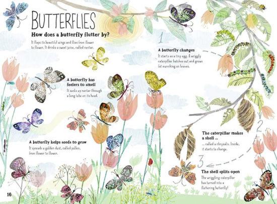 The Big Book of Bugs - Ultimate Guide to Insects for Kids & Adults | Perfect for Nature Exploration, Homeschooling & Outdoor Learning Activities