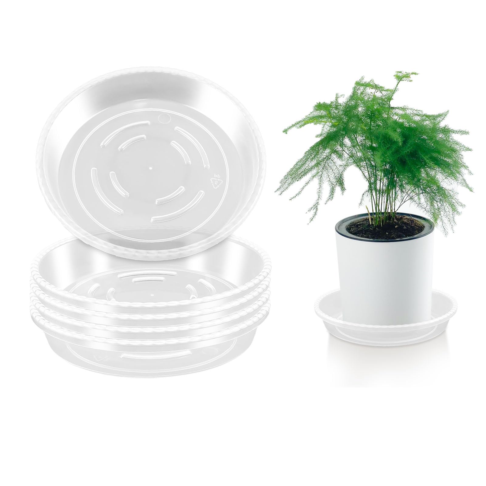 6 Inch Clear Plastic Plant Saucers - 6 Pack Thick Drip Trays for Indoor Flower Pots, No Holes - Perfect for Houseplants, Potted Plants & Plant Stand Protection