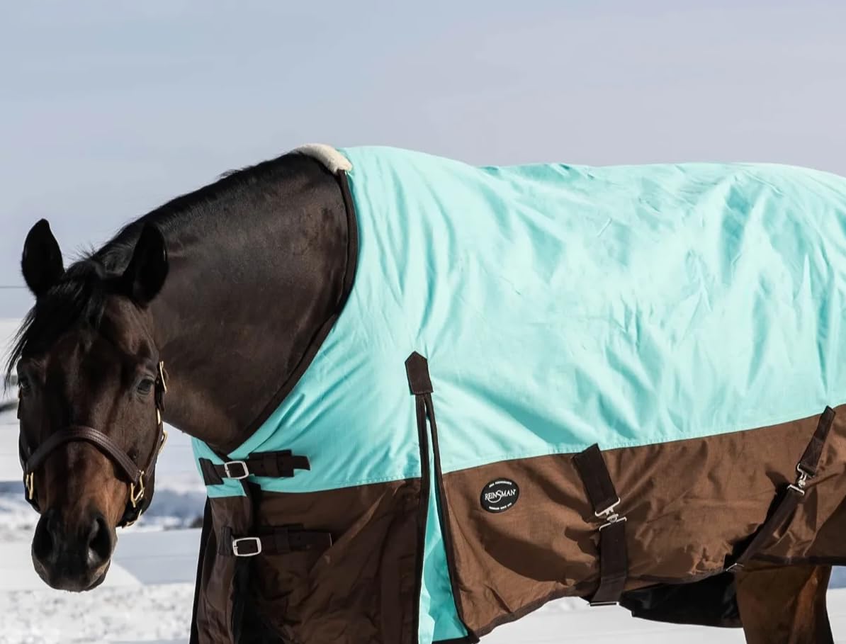 Reinsman Circle Y Classic Turnout Blanket - 300g 600D Waterproof Horse Blanket for All Weather Protection (75