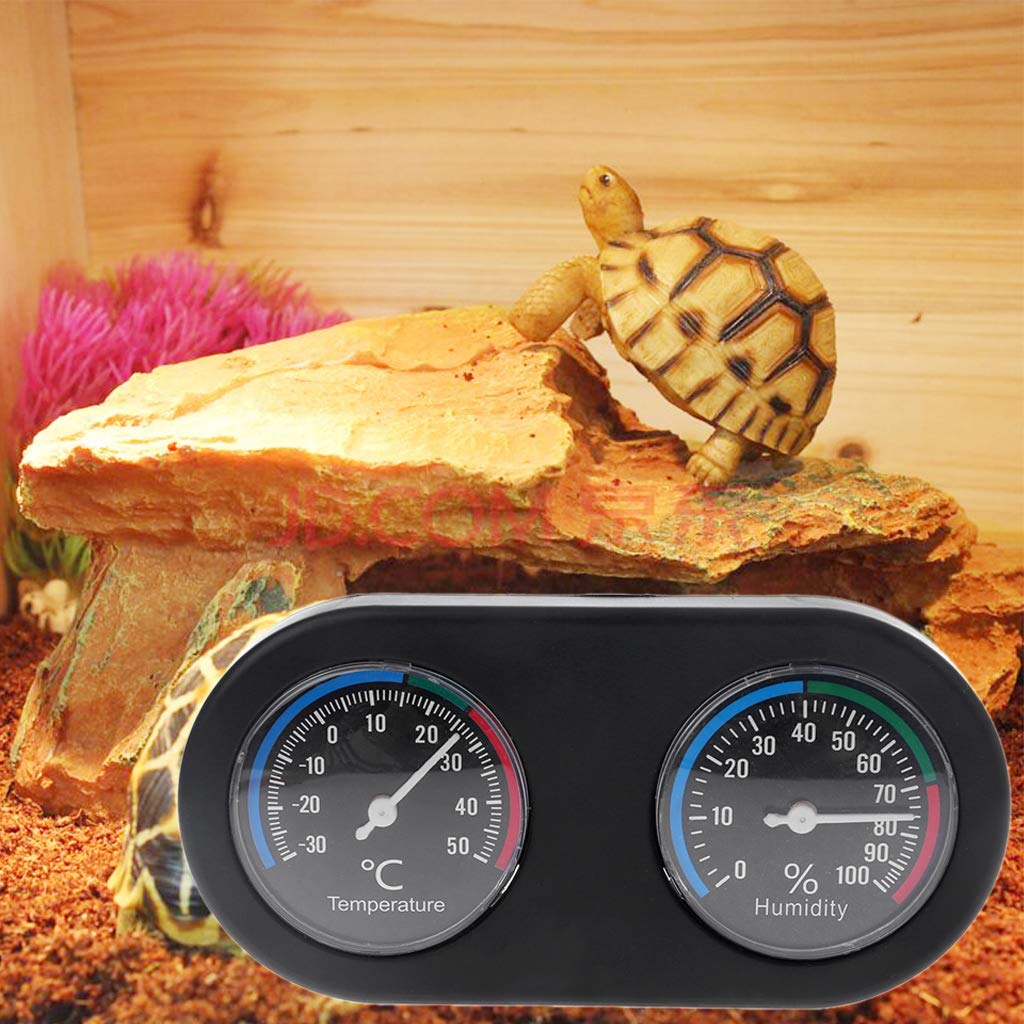 Accurate Digital Terrarium Hygrometer & Thermometer - Reptile Tank Humidity & Temperature Gauge for Reptiles, Amphibians, Plants - Perfect for Vivariums, Greenhouses & Indoor Gardens