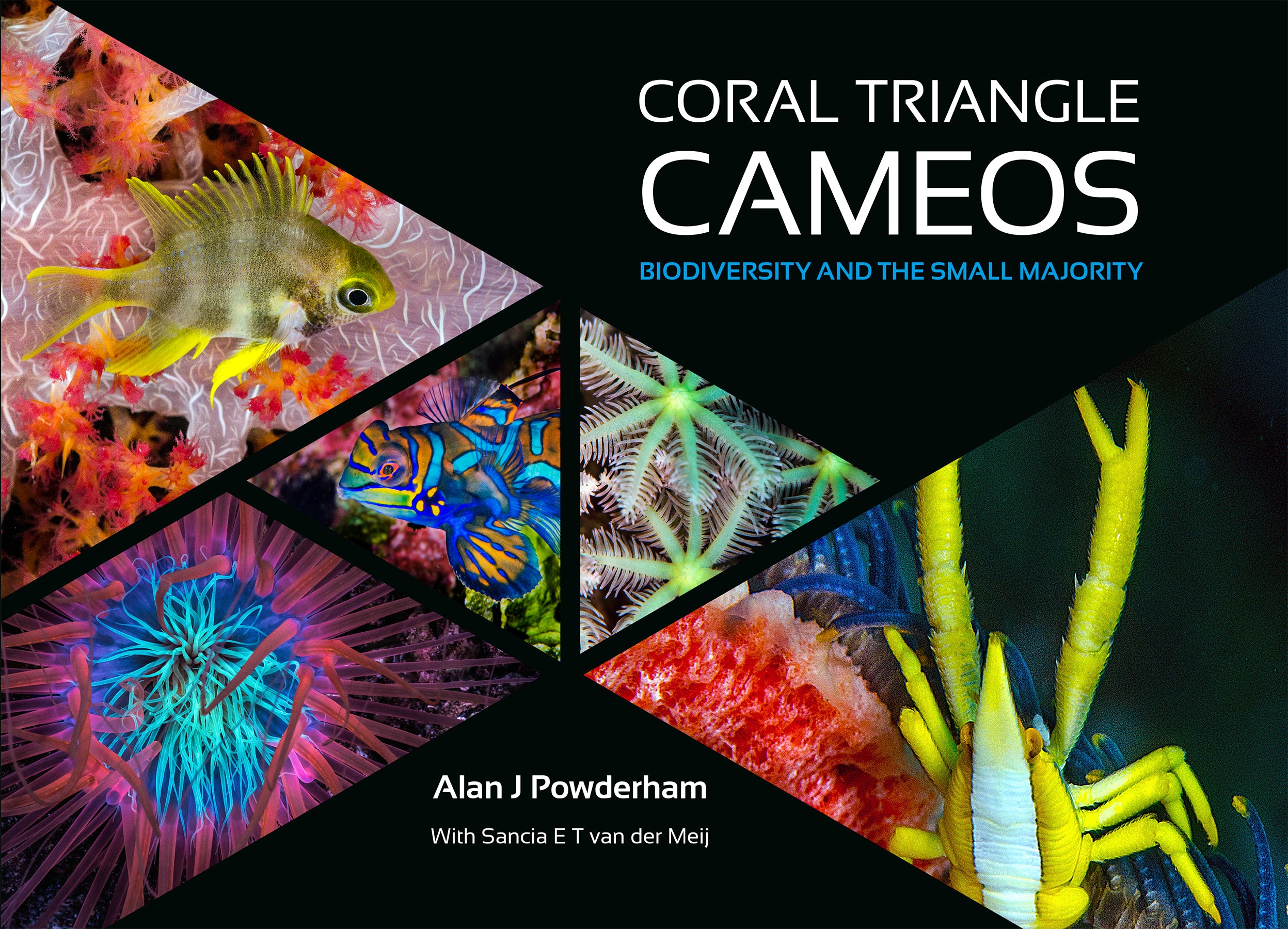 Coral Triangle Cameos - Handcrafted Elegant Jewelry for Women | Perfect for Weddings, Parties & Special Occasions