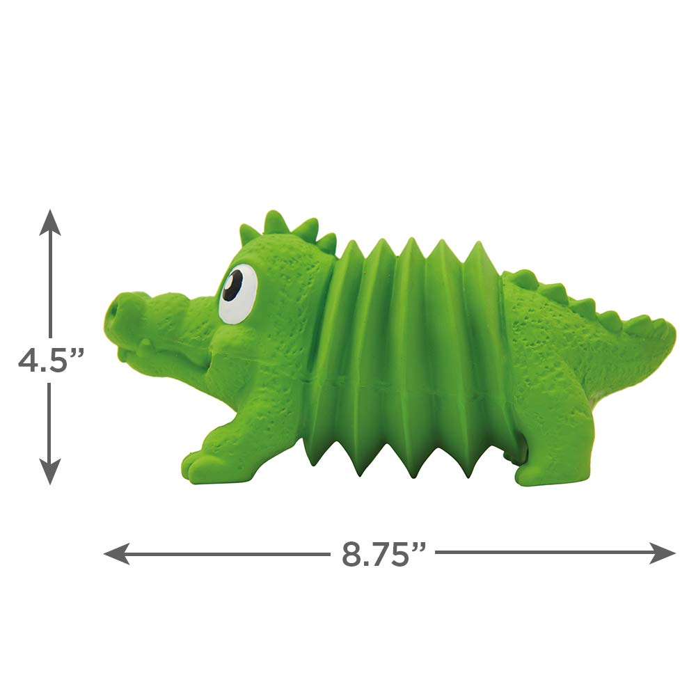 Outward Hound Accordionz Latex Rubber Squeaking Dog Toy - Squeaky & Grunting Alligator Chew Toy for Small & Medium Dogs | Interactive Play & Dental Health | Perfect for Fetch, Training & Teething Puppies