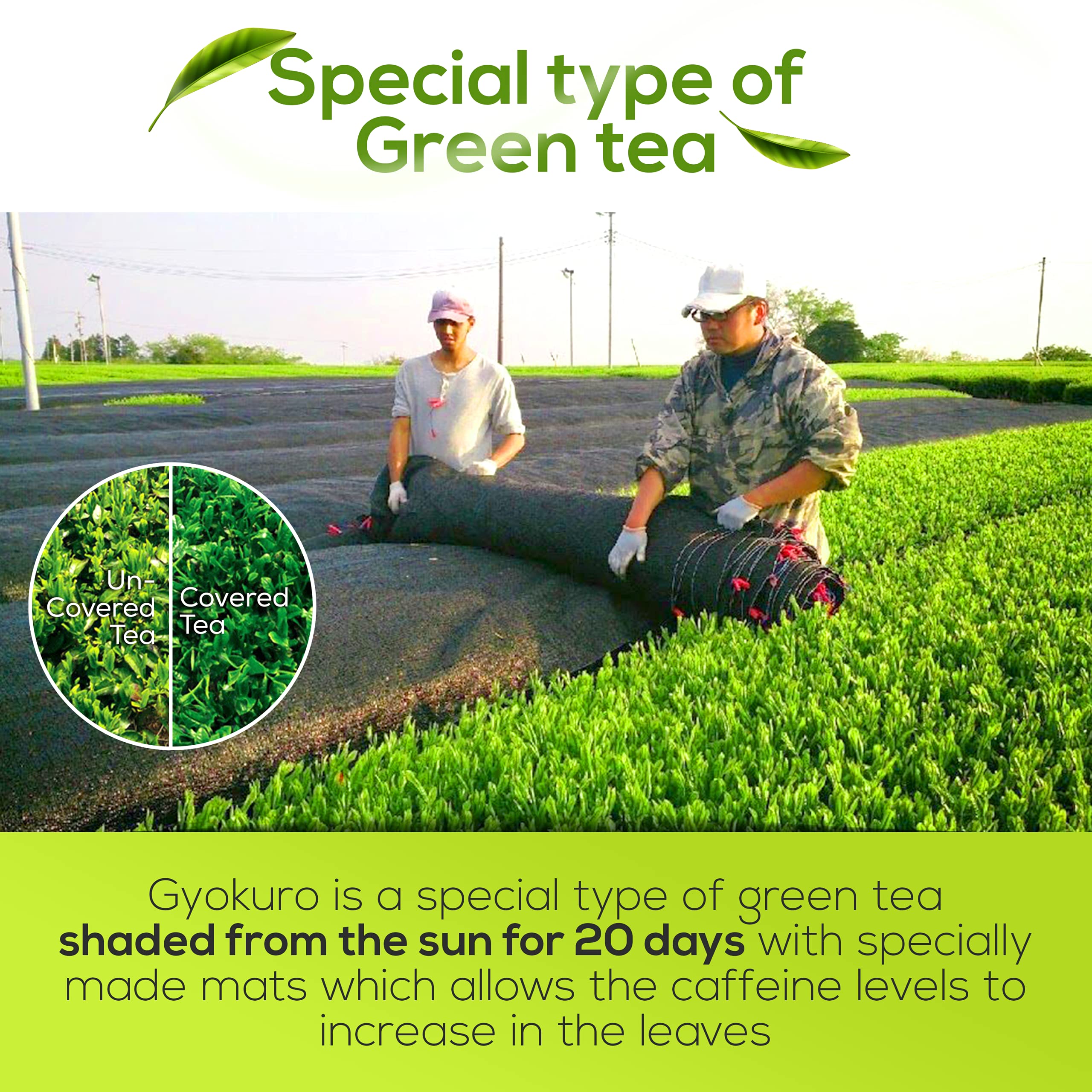 Premium Japanese Green Tea Set - Gyokuro & Gokuzyo Aracha Loose Leaf Teas with Tokoname Kyusu Teapot | 3-Piece Authentic Japanese Tea Collection | Perfect Gift for Tea Lovers & Zen Tea Ceremonies