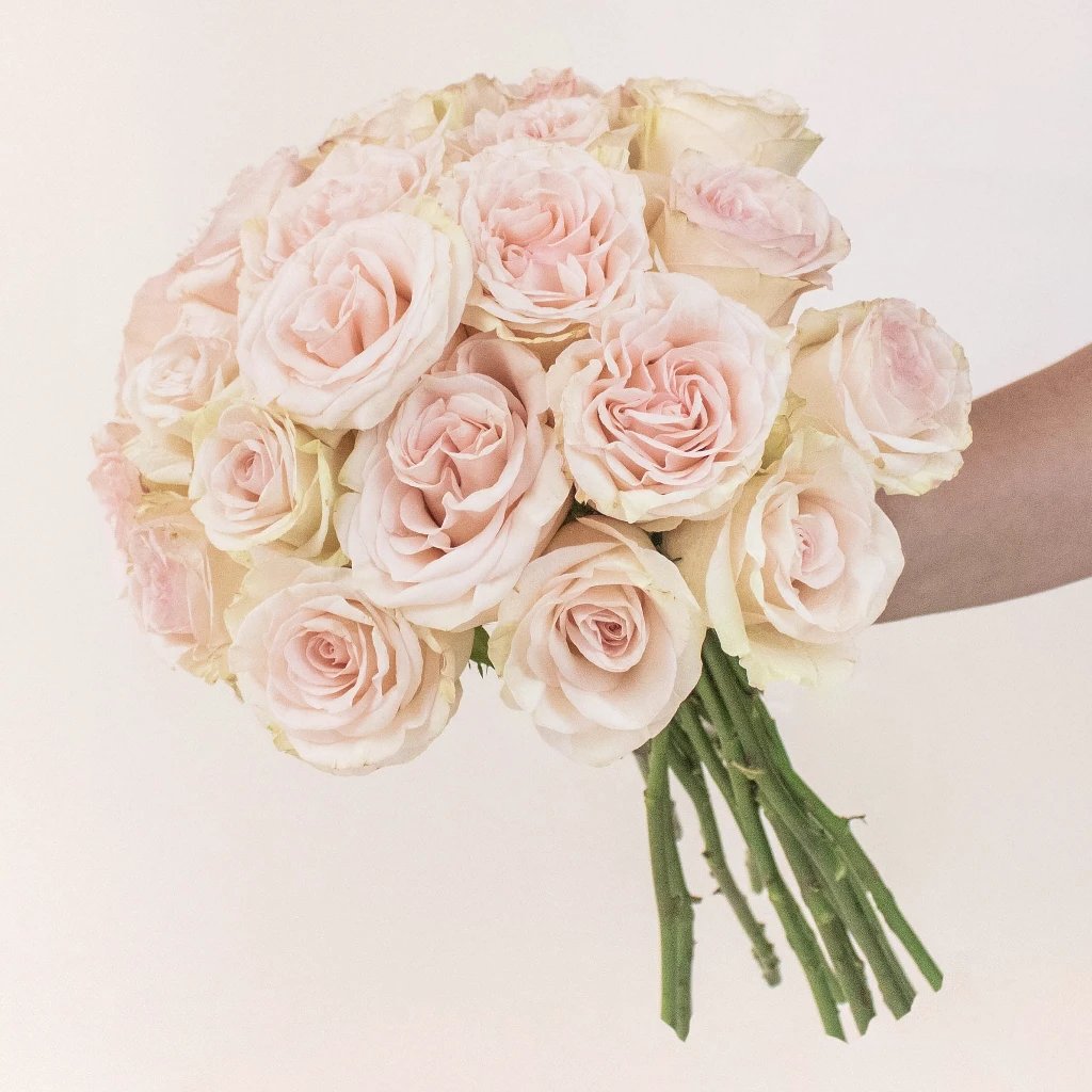Berries N Cream Rose Bouquet - Fresh Cut Roses for Wedding, Anniversary & Valentine's Day Gifts - Perfect Floral Arrangement for Home Decor & Special Occasions