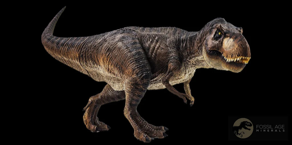 Authentic Tyrannosaurus Rex Fossil Bone - Lance Creek Formation, Wyoming - COA Included | Rare Dinosaur Fossil for Collectors, Museum Display & Educational Use