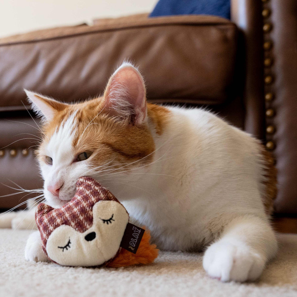 Forest Friends Fox & Bunny Interactive Cat Toy Set - Fun Playtime for Kittens & Cats - Perfect for Indoor Play & Exercise