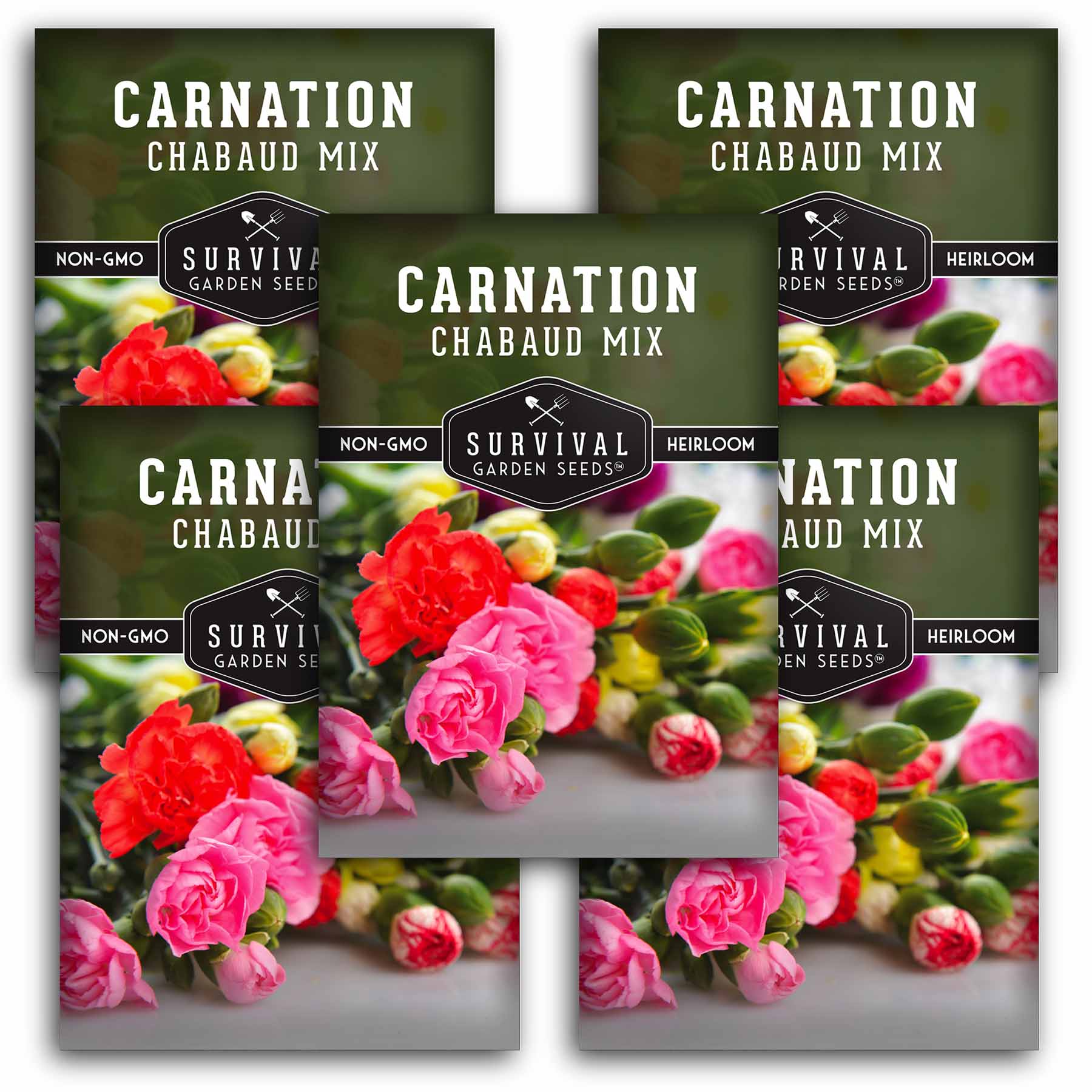 Chabaud Mix Carnation Seeds - Dianthus Caryophyllus Flower Seeds for Garden, Bouquets & Landscaping | Fragrant Cut Flowers for Home Decor & Wedding Arrangements