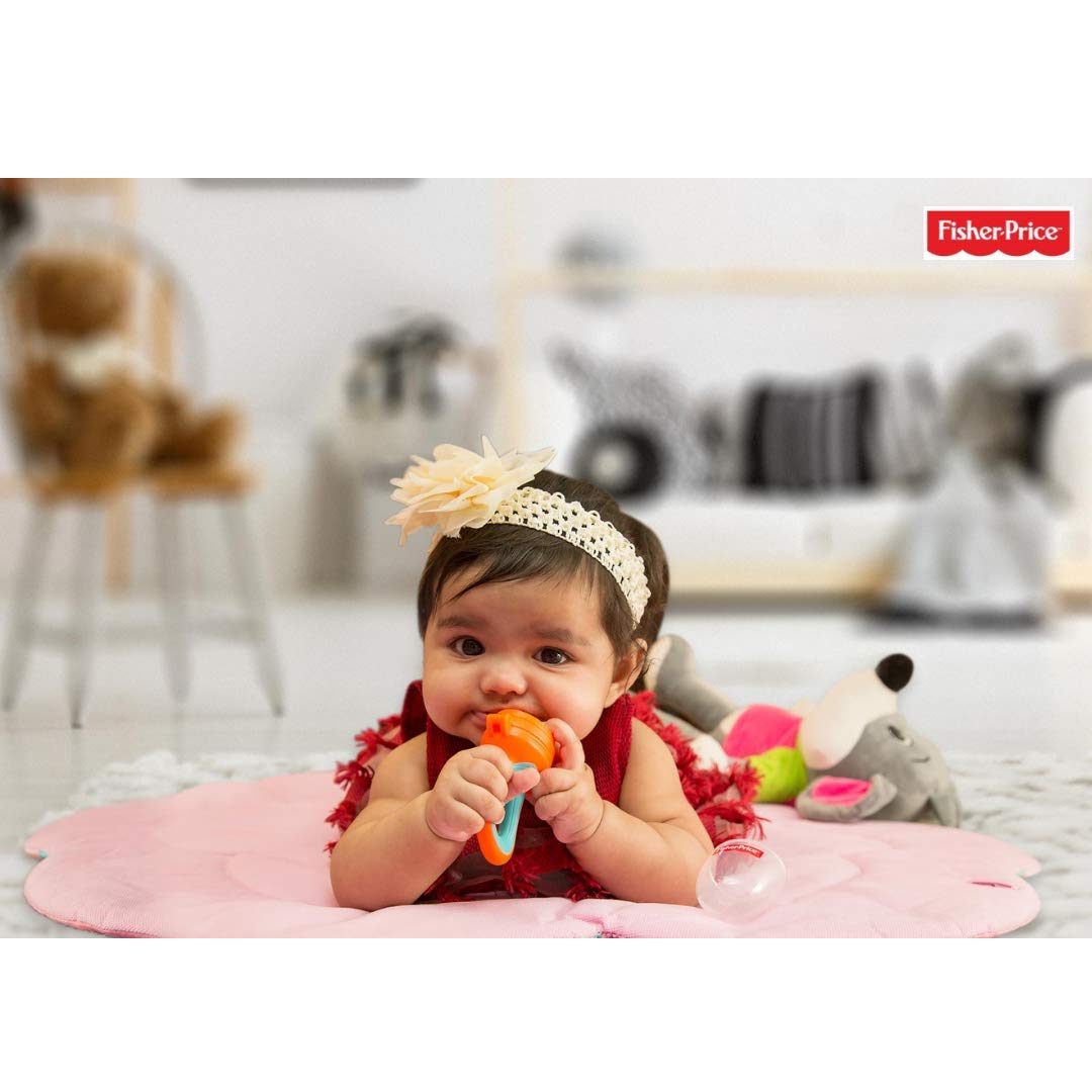 Fisher-Price Ultracare Polypropylene Silicone Baby Food Nibbler - Safe Teething Feeder for Infants & Toddlers (Orange) - Perfect for First Solid Foods, Fruits & Veggies at Home or On-the-Go