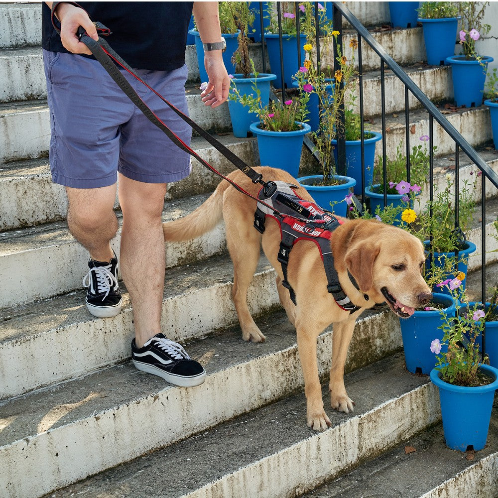 Earthtec I Leash - Durable Reflective Dog Leash for Small, Medium & Large Dogs - Perfect for Walking, Running & Nighttime Safety