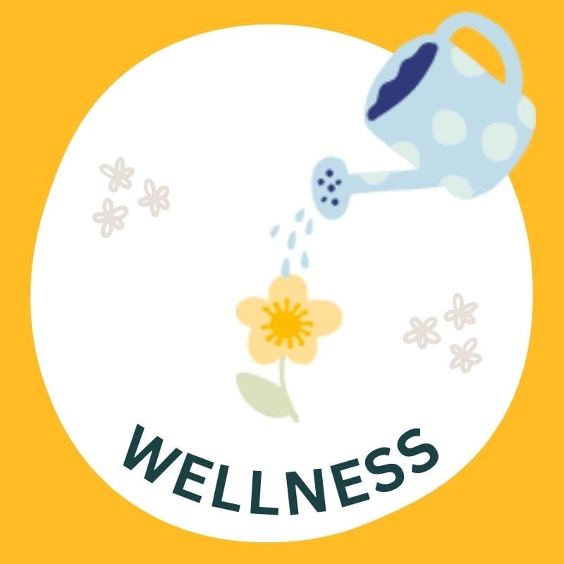 Educator Wellness - Self-Care & Stress Relief for Teachers - Mindfulness & Mental Health Resources for Educators - Perfect for Classroom, Staff Meetings & Professional Development