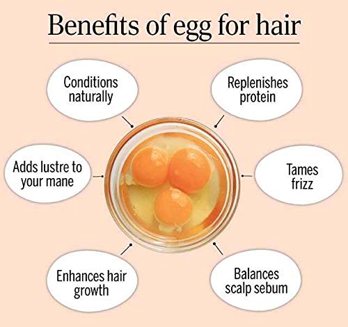 Quat Hairfall Prevent Egg Shampoo 300ml - Anti Hair Loss Treatment with Egg Protein for Stronger Hair - Daily Use for Men & Women