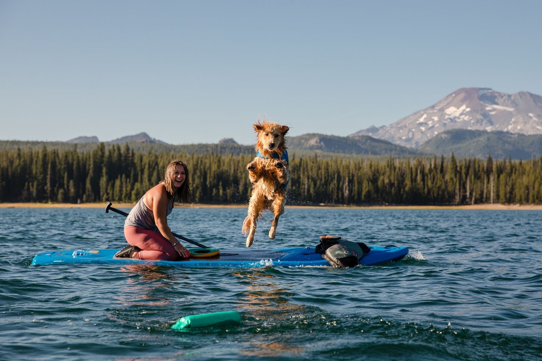 Lunker® Foam Water Toy for Dogs - Purple Orchid | Ruffwear® - Perfect for Pool, Beach & Outdoor Play