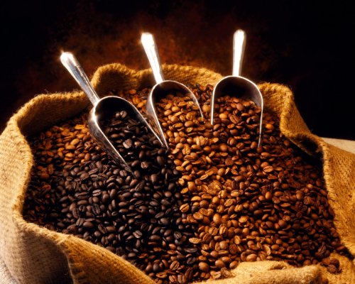 Premium Colombian Medellin Supremo 17/18 Light Roast Coffee Beans - 1lb International Coffee Sampler for Home Brewing & Office Use