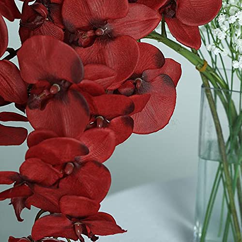 40 Inch Artificial Phalaenopsis Silk Orchid Flowers - Real Touch Lifelike Branches, Pack of 2 (Red) - Perfect for Home, Office, Wedding, Party & Event Decorations
