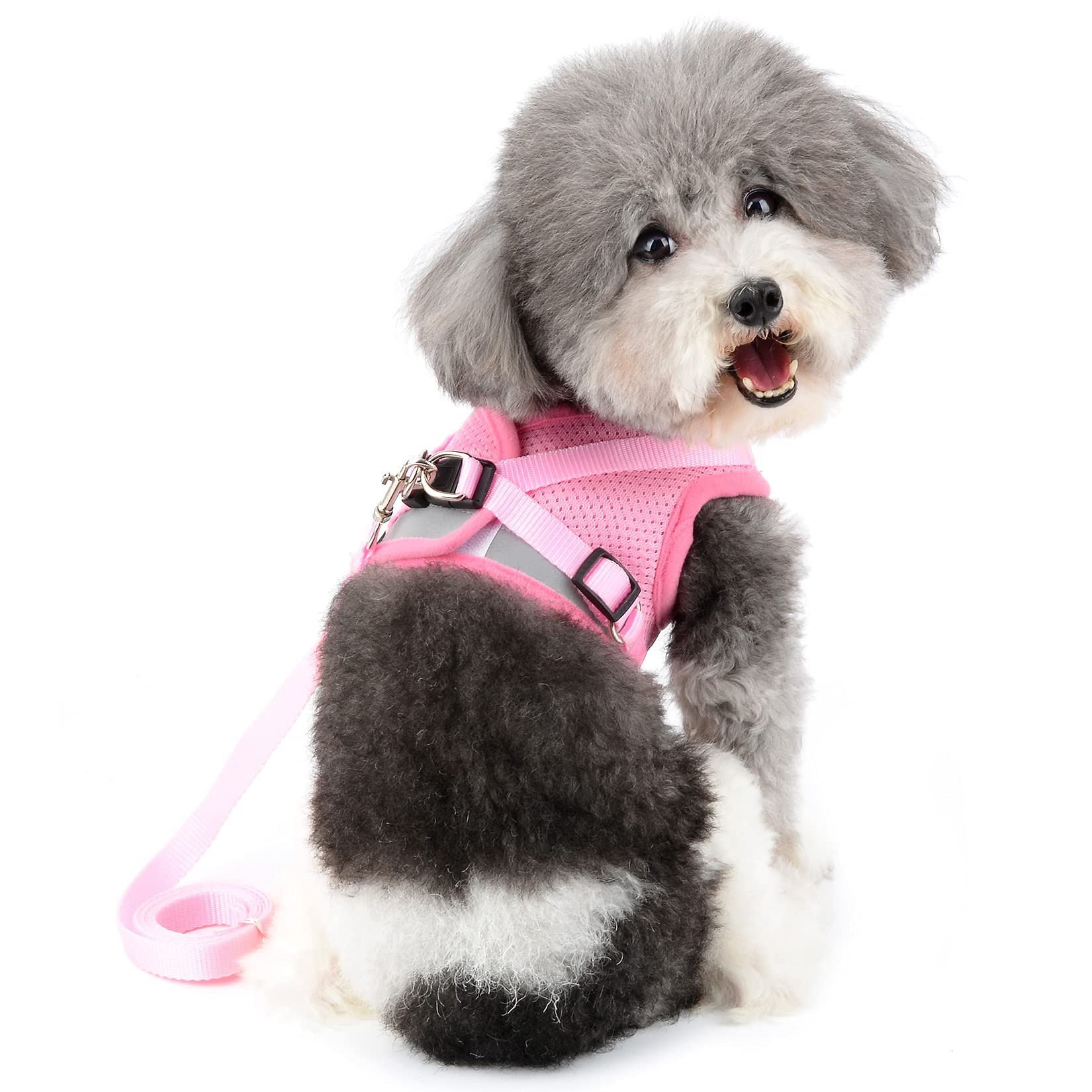 Ranphy Escape Proof Reflective Cat Harness and Leash Set - Adjustable Soft Mesh Padded Vest for Small Dogs - No Pull No Choke Walking Jacket (Size M: 15.5