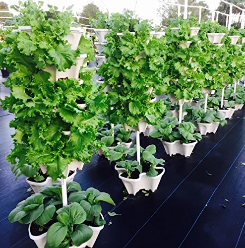 12 Large Stackable Planters for Strawberries, Vegetables, Herbs & Lettuce - Mr Stacky Vertical Gardening Pots for Soil, Hydroponics & Aquaponics - Indoor/Outdoor Stacking Container Garden System (12-Pack, Stone) - Perfect for Small Spaces, Balconies & Urban Farming