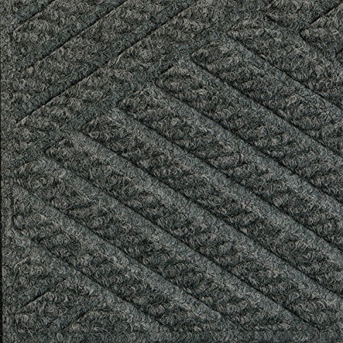 Gray Ash